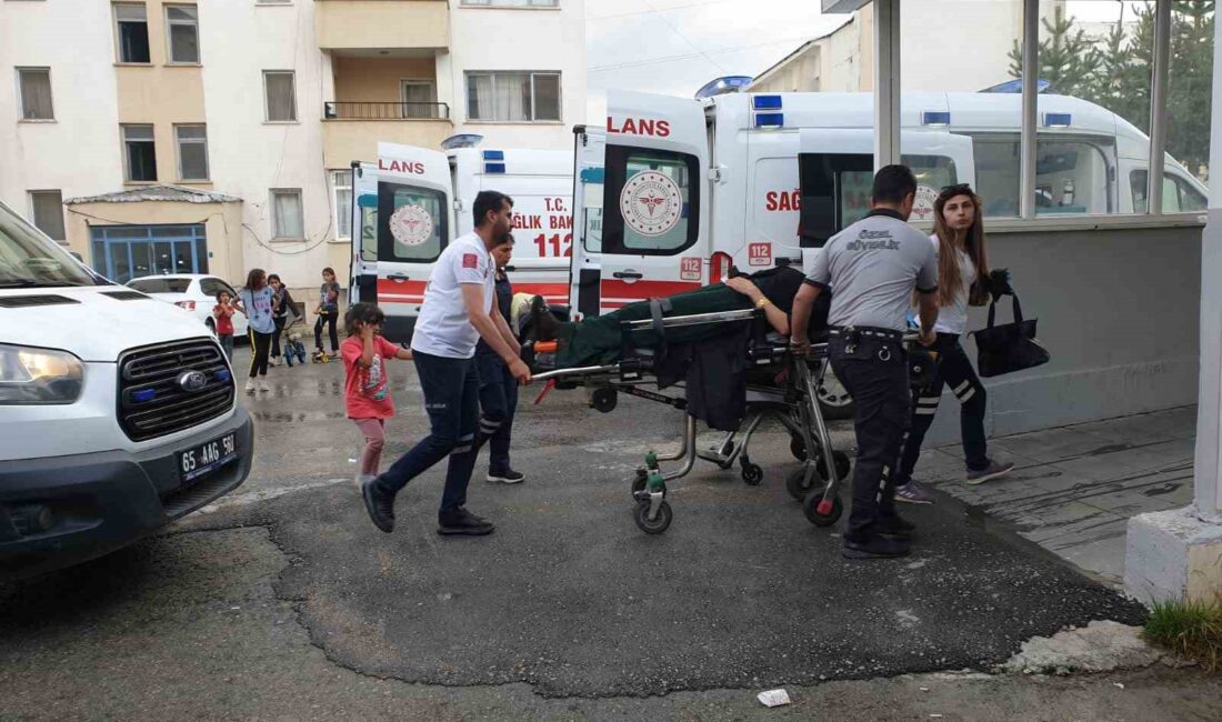 VAN'IN BAŞKALE İLÇESİNDE MEYDANA