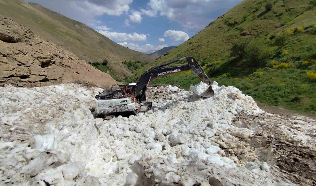 VAN’IN BAHÇESARAY İLÇESİNDE KIŞIN