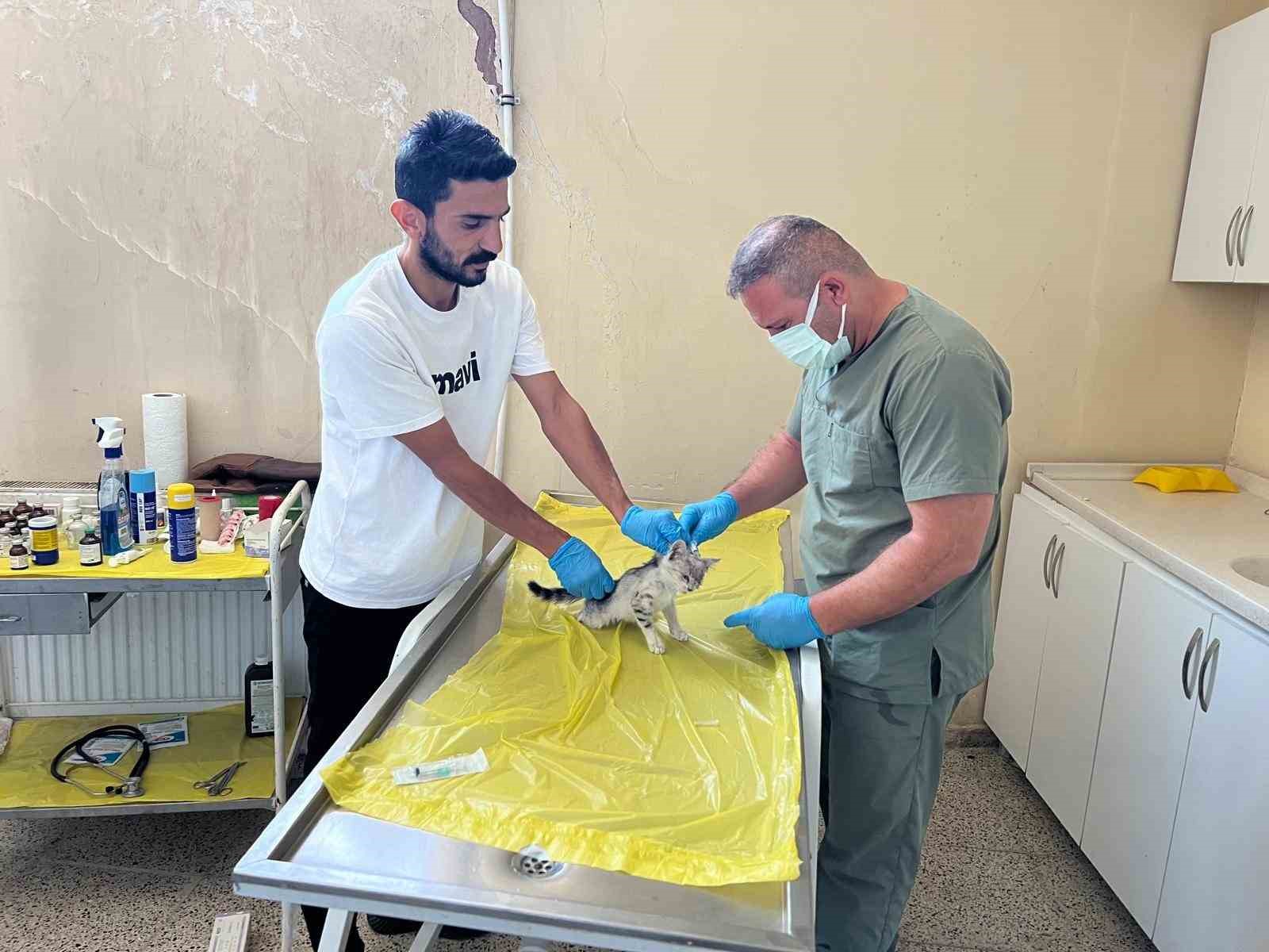 Veteriner ekibinden can dostlar için yoğun mesai