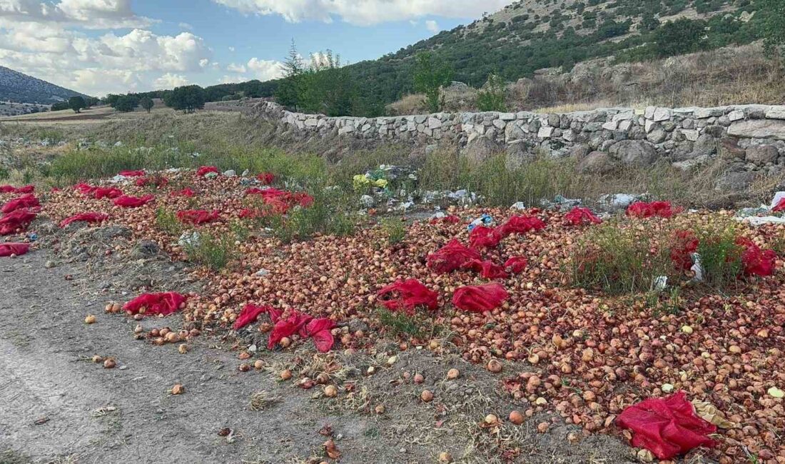 AFYONKARAHİSAR’IN BOLVADİN İLÇESİNDE BİR