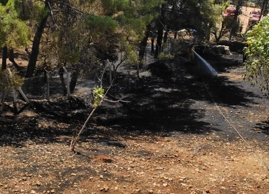 ADIYAMAN’DA, MEYDANA GELEN KURU