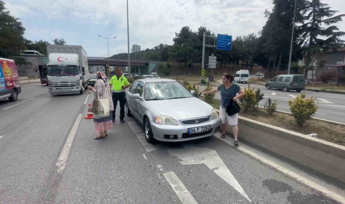 SAMSUN'DA YAYA GEÇİDİ OLMAYAN