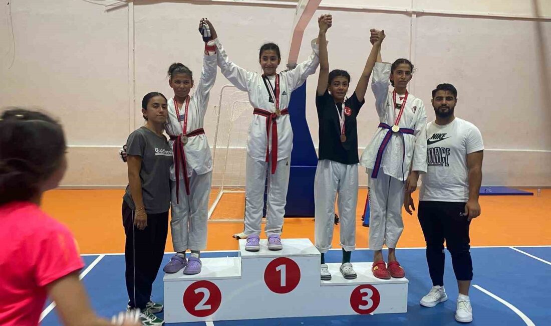 MİNİKLER TÜRKİYE TAEKWONDO ŞAMPİYONASI