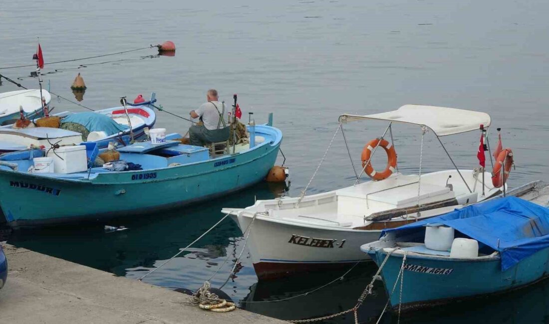 KARADENİZ’DE BUGÜNLERDE KIYI BALIKÇILARIN