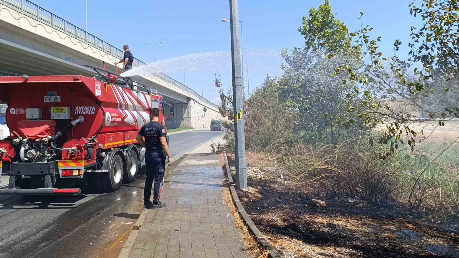 Yol kenarına atılan sigara izmariti yangın çıkardı