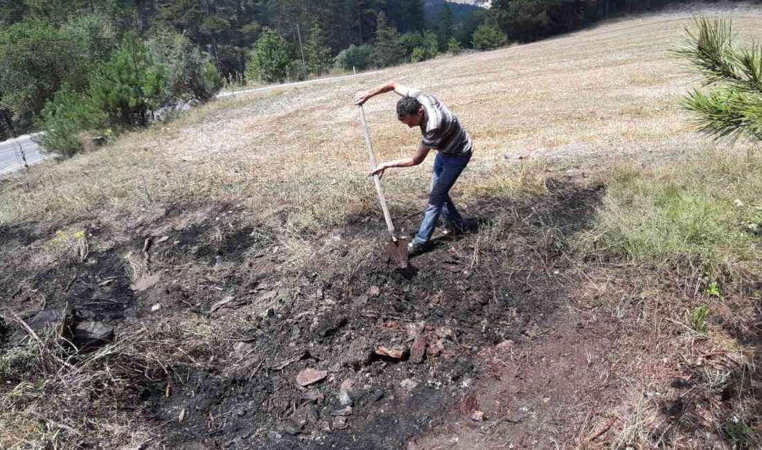 BOLU’DA YOL KENARINA ATILAN