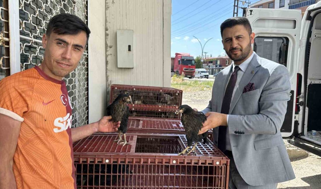 HAKKARİ’NİN YÜKSEKOVA ZİRAAT ODASI