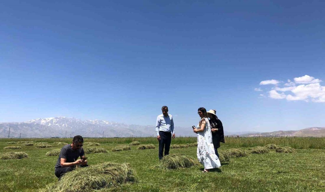 HAKKARİ’NİN YÜKSEKOVA İLÇESİNDE YAĞIŞLARIN