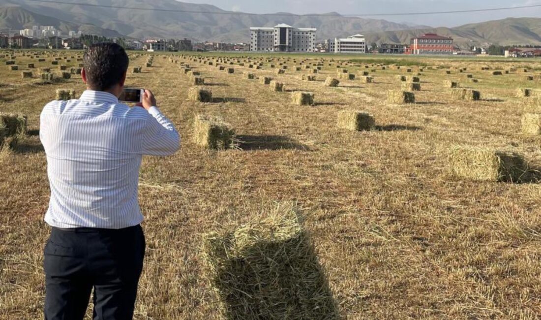 YÜKSEKOVA İLÇE TARIM VE