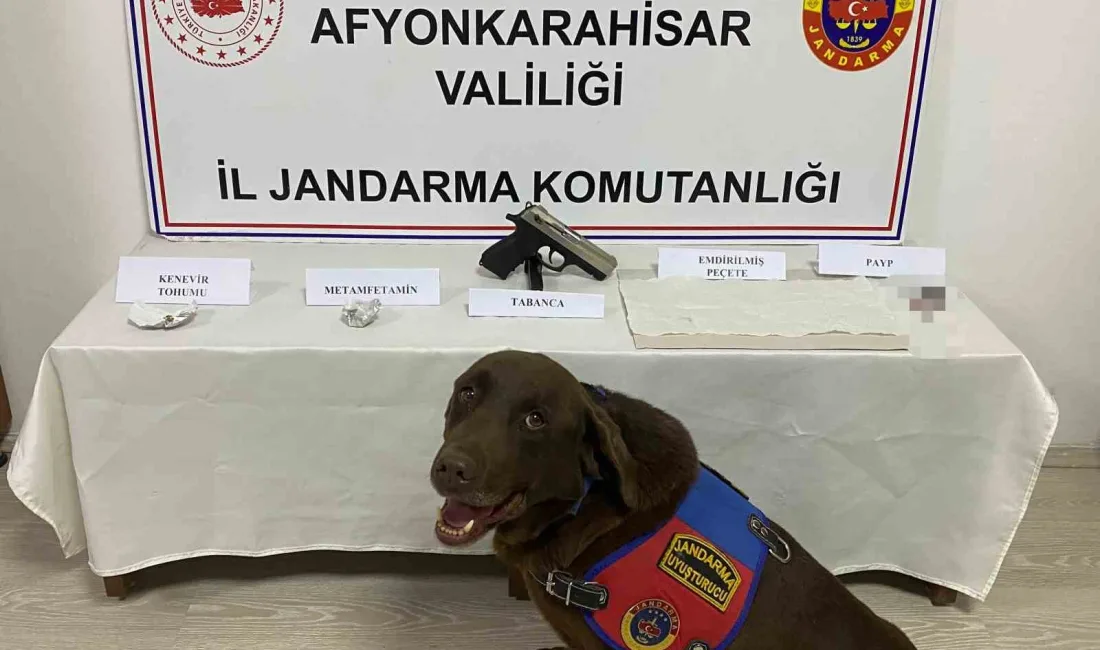 AFYONKARAHİSAR'DA JANDARMA TARAFINDAN UYUŞTURUCU