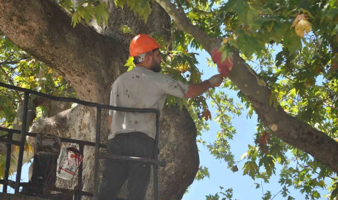 BOLU’NUN MUDURNU İLÇESİNİN MEYDANINDA