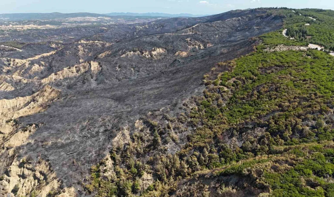 ÇANAKKALE SAVAŞLARI'NIN YAŞANDIĞI TARİHİ