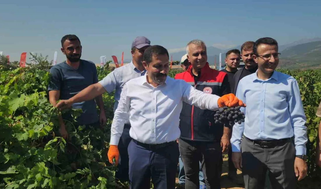 HATAY’IN HASSA İLÇESİNDE YAKLAŞIK