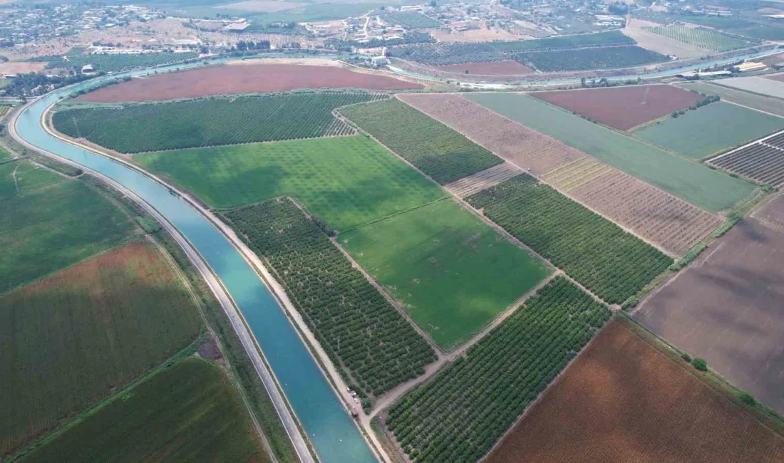 ADANA'NIN ÇUKUROVA BÖLGESİNDE YAŞANAN