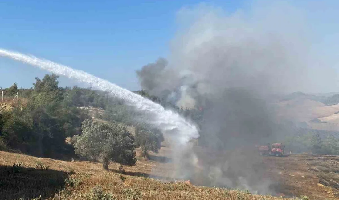 ADANA'DA ORMANLIK ALANA SIÇRAYAN