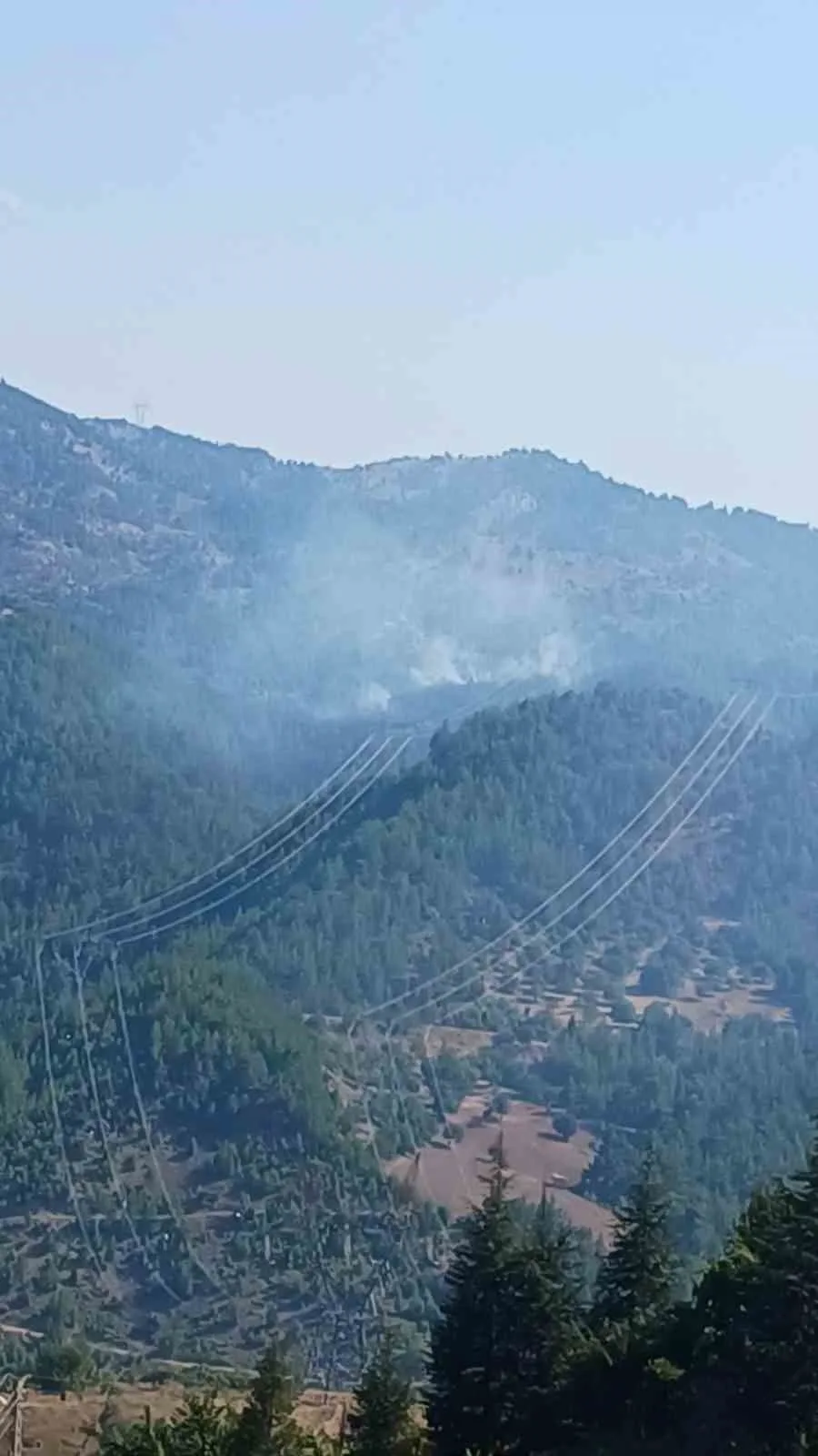 Adana’da orman yangınına müdahale eden helikopter düştü