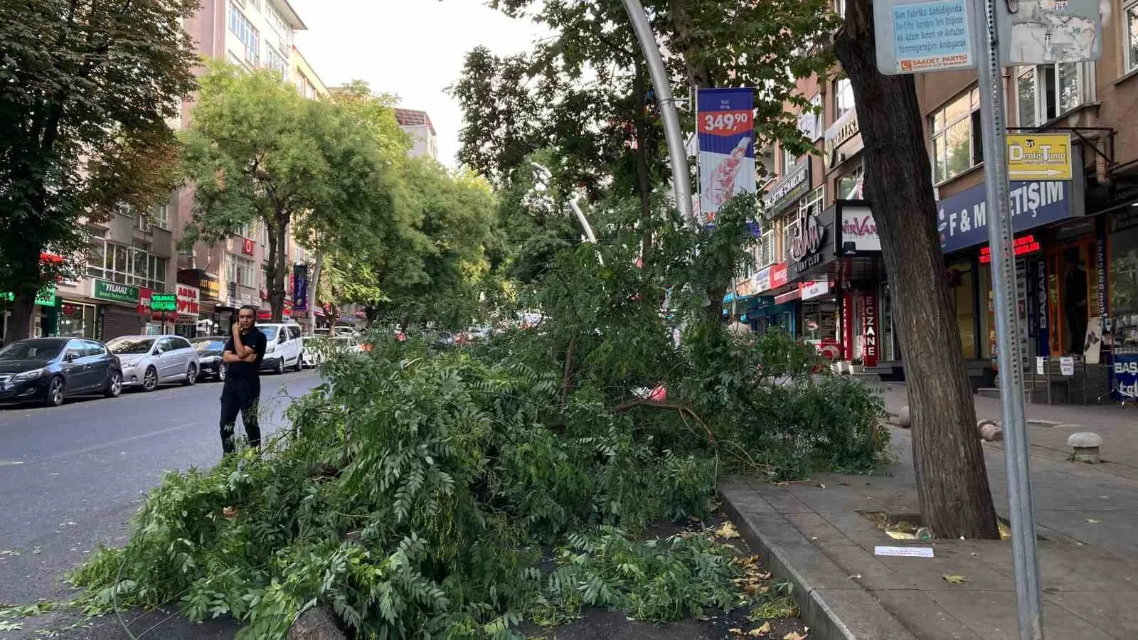 ANKARA’NIN ÇANKAYA İLÇESİNDE HENÜZ BİLİNMEYEN BİR SEBEPTEN DOLAYI BİR AĞAÇ