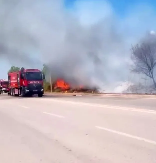 KARTEPE İLÇESİNDE YOL KENARINDA