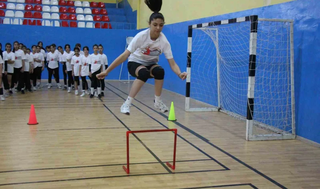 TÜRKİYE VOLEYBOL FEDERASYONU (TVF)