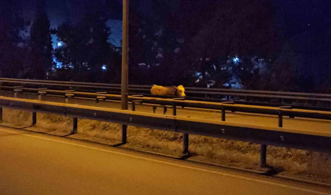 KARABÜK'TE KARA YOLUNA İNEREK