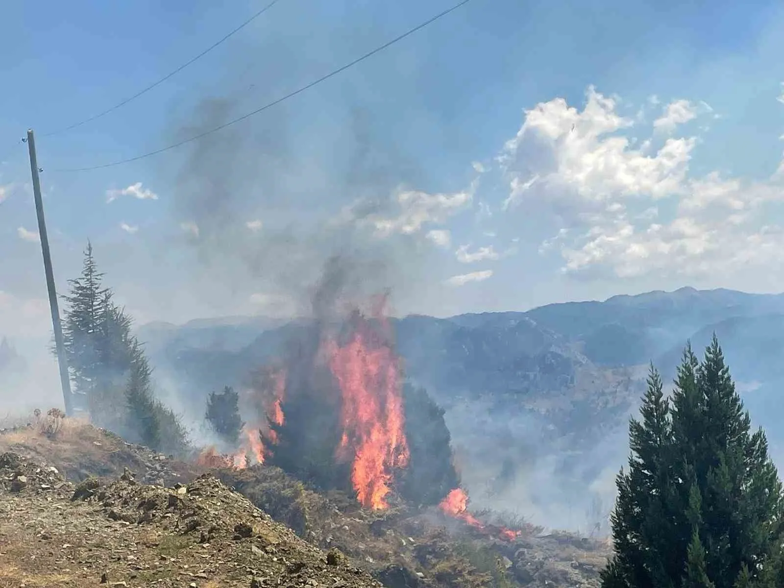 Alanya’da makilik alanda çıkan yangın ormana sıçramadan söndürüldü