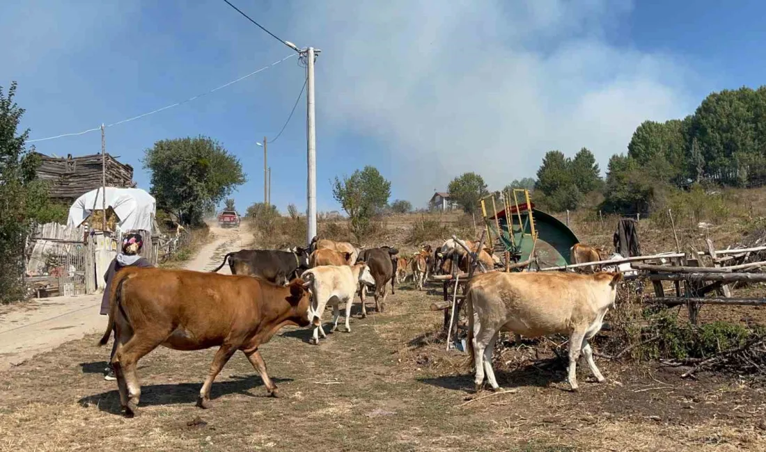 ANKARA'NIN KIZILCAHAMAM İLÇESİNDE BAŞLAYARAK