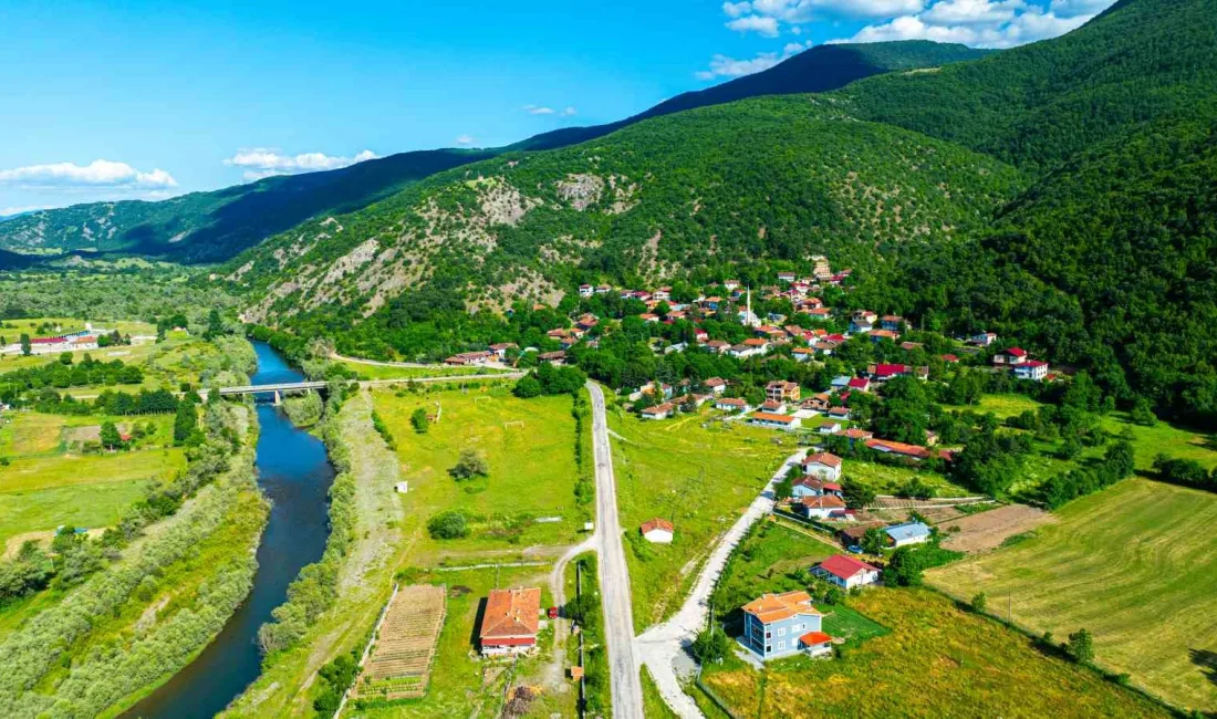 TOKAT'IN ALMUS İLÇESİNE BAĞLI