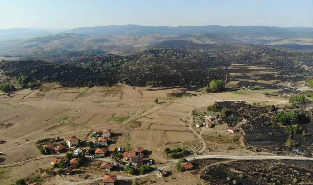 ANKARA’NIN KIZILCAHAMAM İLÇESİNDE BAŞLAYARAK BOLU’NUN GEREDE İLÇESİNE SIÇRAYAN ORMAN YANGININ