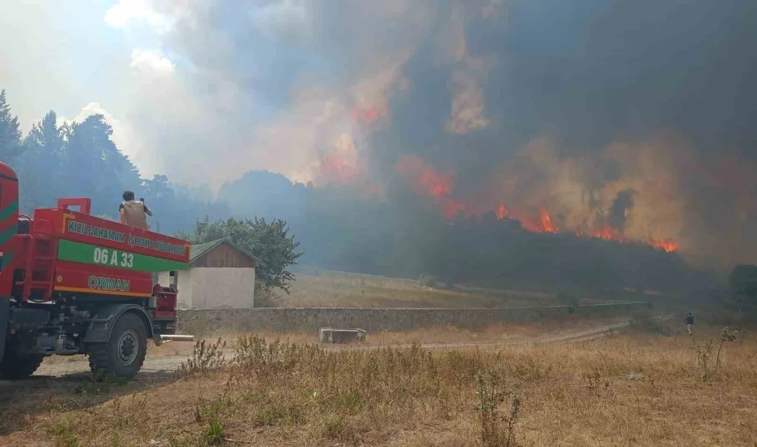 ANKARA’NIN KIZILCAHAMAM İLÇESİNDE BULUNAN ORMANLIK ALANDA YANGIN ÇIKTI.