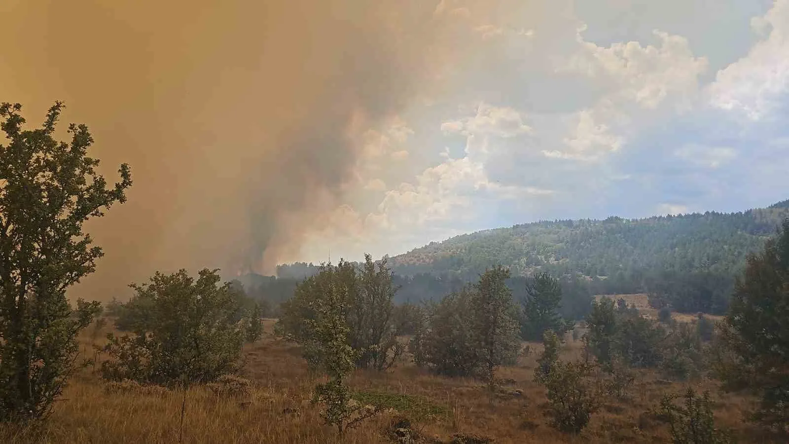 Ankara’da başlayan yangın Bolu’ya sıçradı