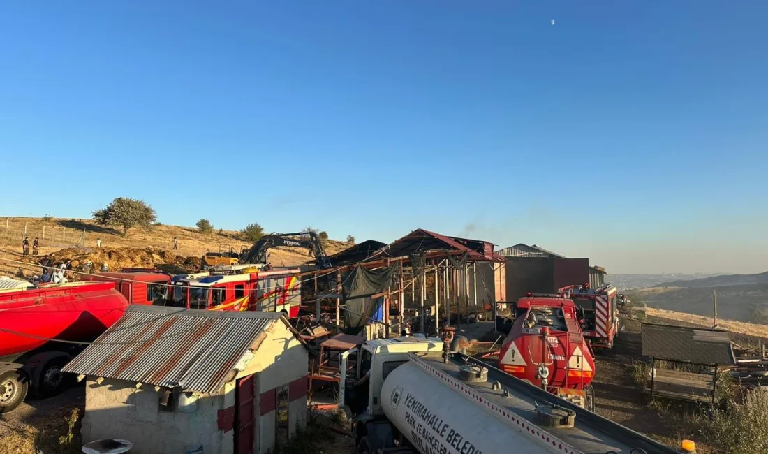 ANKARA’NIN YENİMAHALLE İLÇESİNDE BULUNAN BİR AHIRDA ÇIKAN YANGINDA 26 BÜYÜKBAŞ