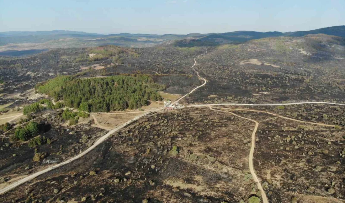 ANKARA'NIN KIZILCAHAMAM İLÇESİNDE BAŞLAYARAK