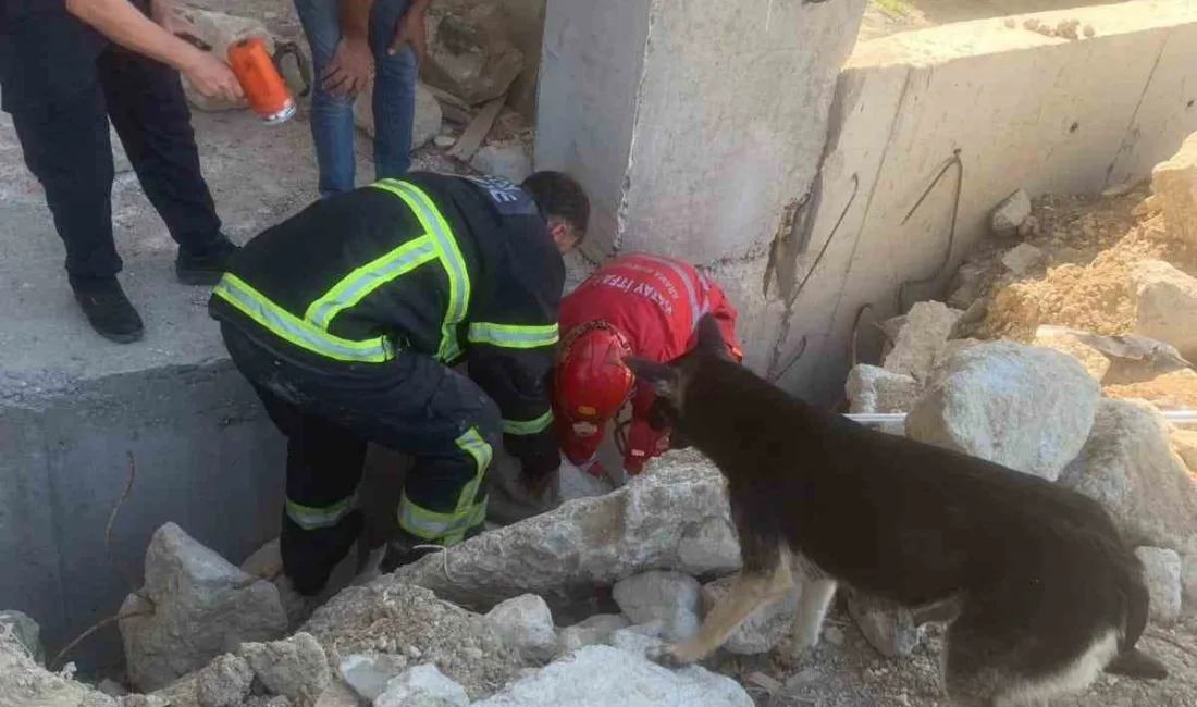 HATAY’DA YAVRULARI ENKAZ ARASINDA