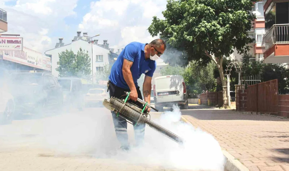 ANTALYA BÜYÜKŞEHİR BELEDİYESİ, KENT