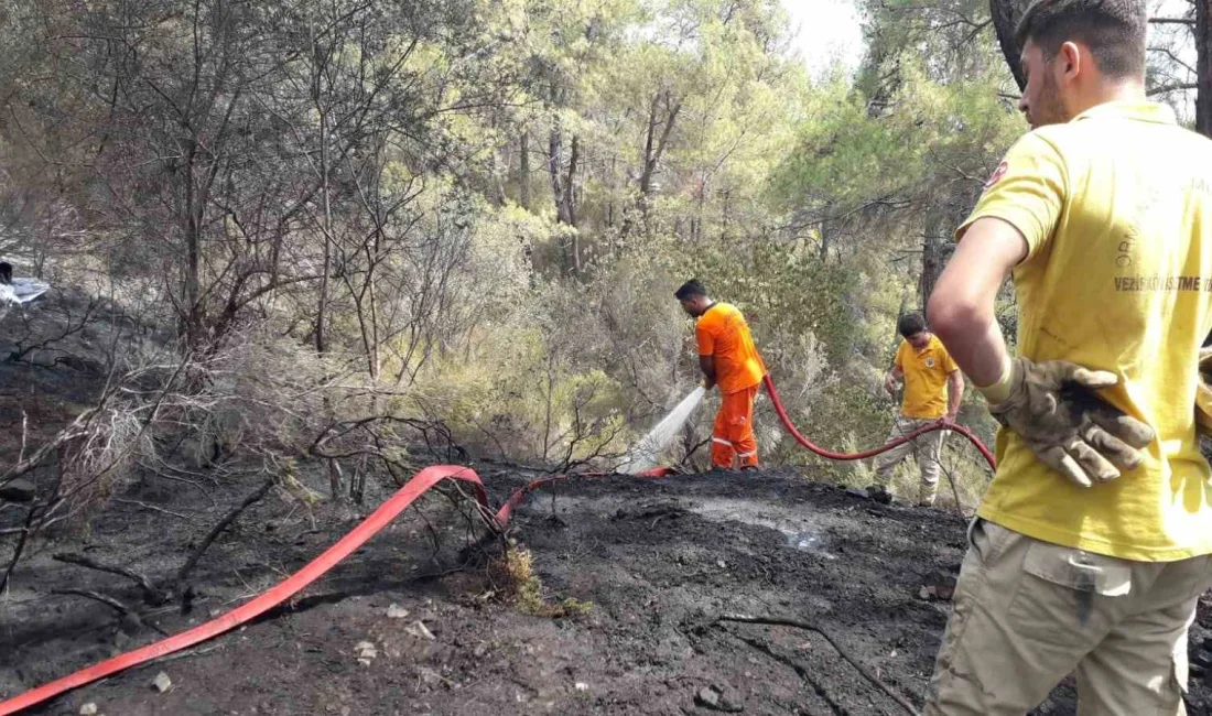 KEMER'DE ÇIKAN ORMAN YANGINI