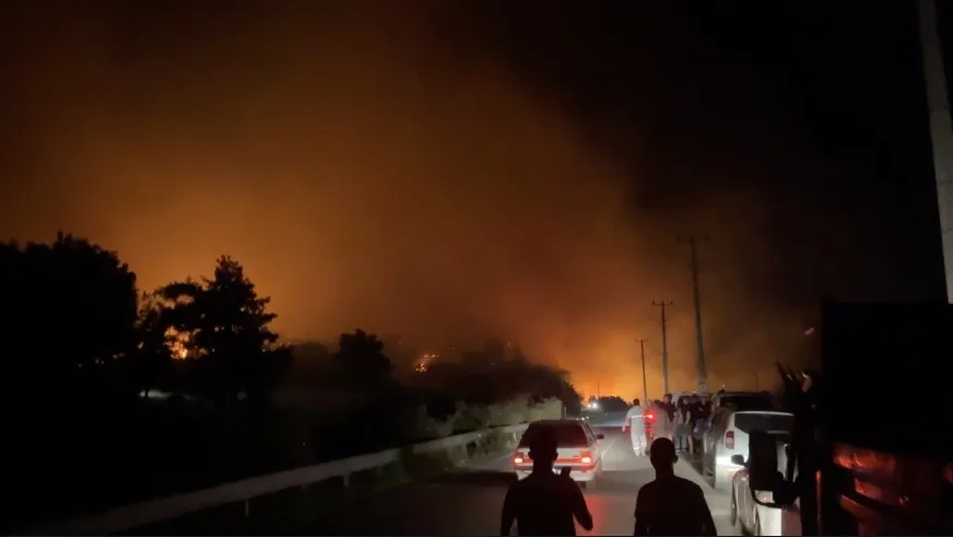 ANTALYA'NIN SERİK İLÇESİNDE ORMANLIK