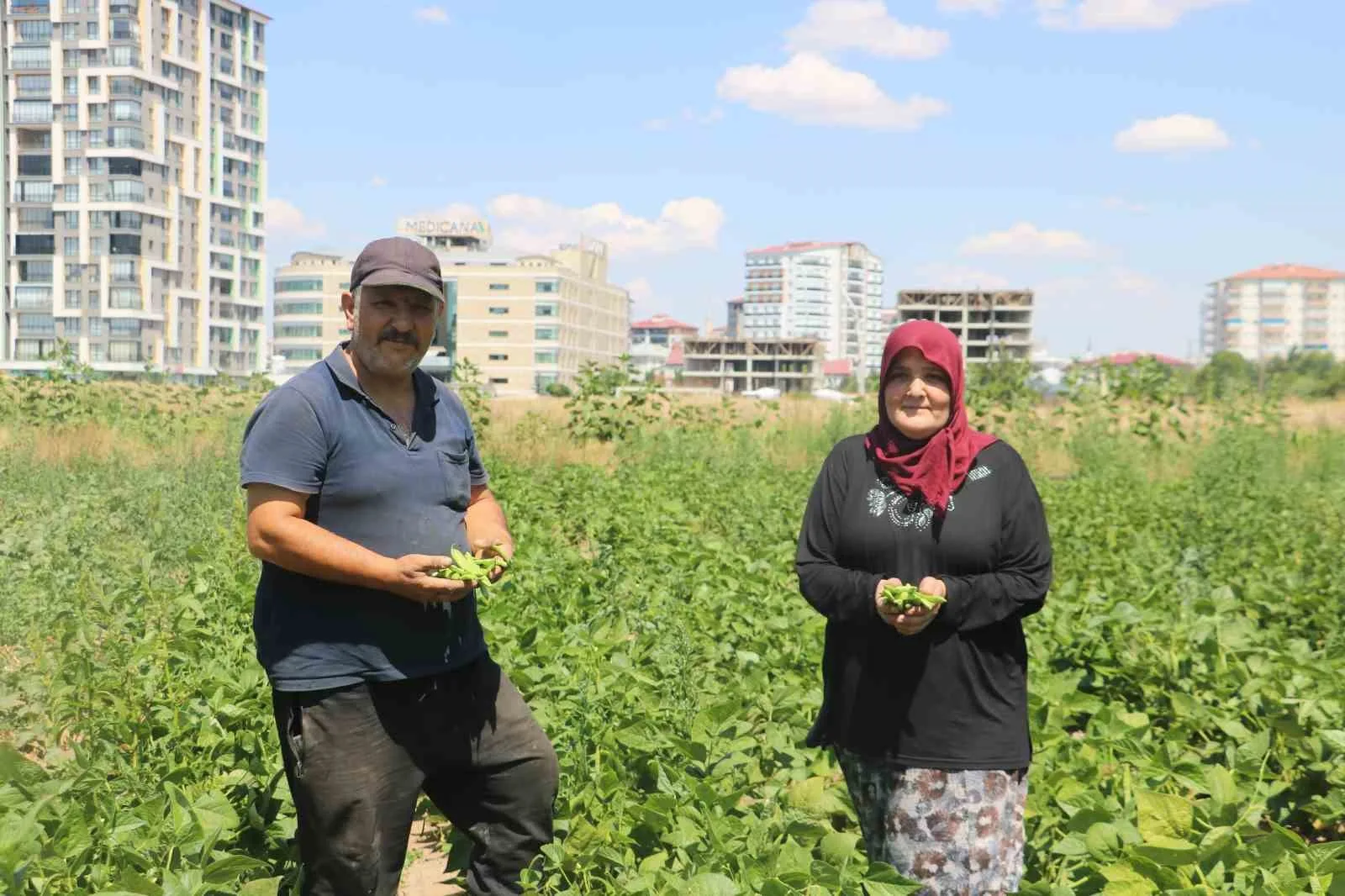 Apartmanlar arasında ata tohumunu yeşertmeye çalışıyor