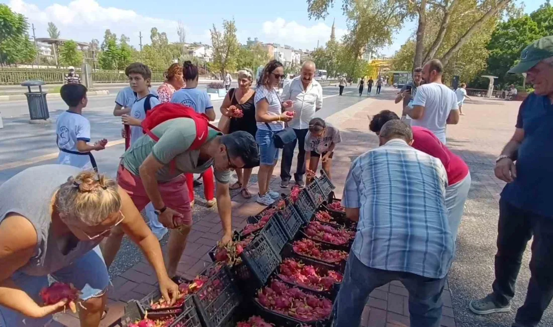 ARACILARIN VERDİĞİ FİYATI PROTESTO