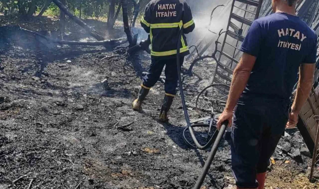 HATAY’DA YAŞANAN BAHÇE YANGINI