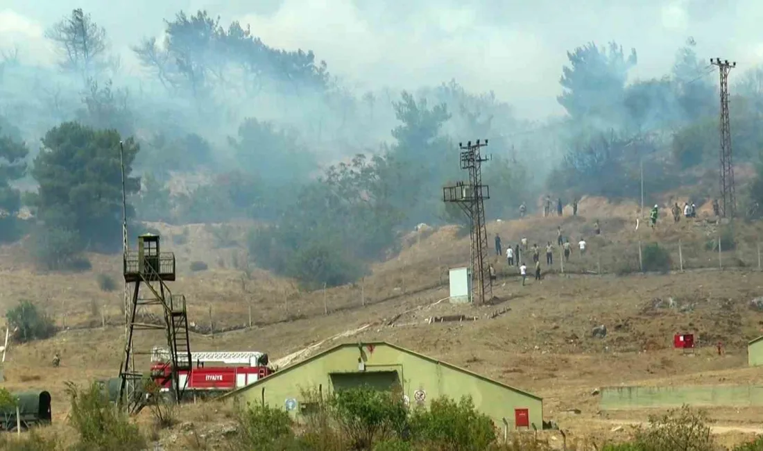 SAKARYA'NIN PAMUKOVA İLÇESİNDE BULUNAN