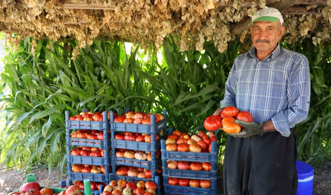 KAHRAMANMARAŞ’TA DEDE YADİGARI TOHUMLARDAN