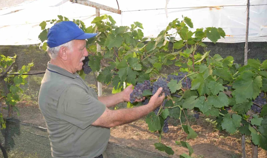 ŞEVKET KOCAKULAK, ATALARINDAN KALAN