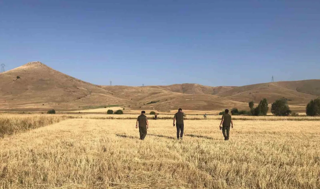 AV SEZONUNUN BAŞLADIĞI BAYBURT'TA