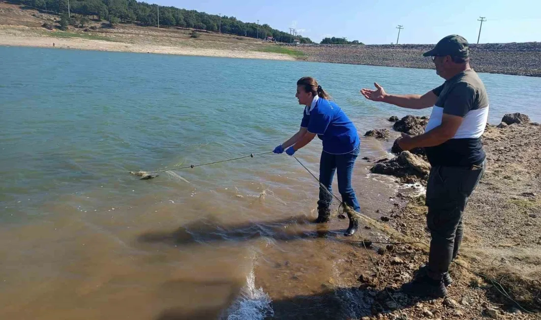 GÖLKÖY BARAJ GÖLÜ'NDE KAÇAK