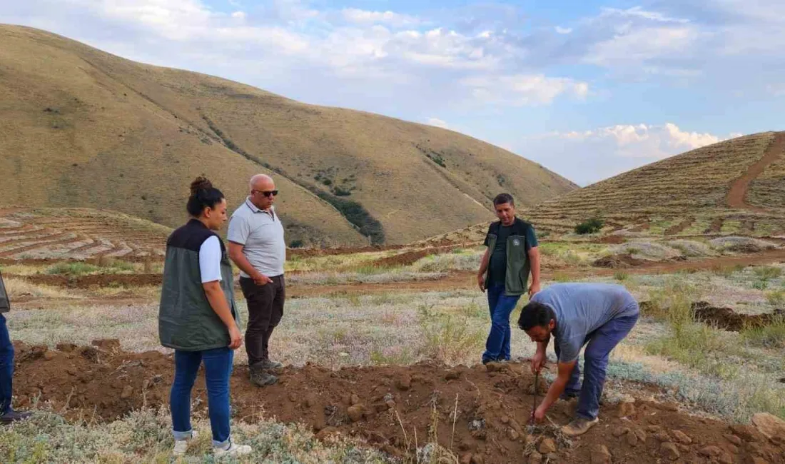 ERZURUM ORMAN BÖLGE MÜDÜRÜ