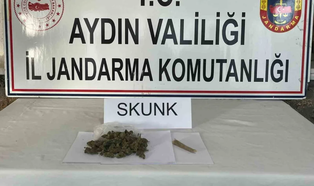 AYDIN'DA JANDARMA EKİPLERİ TARAFINDAN