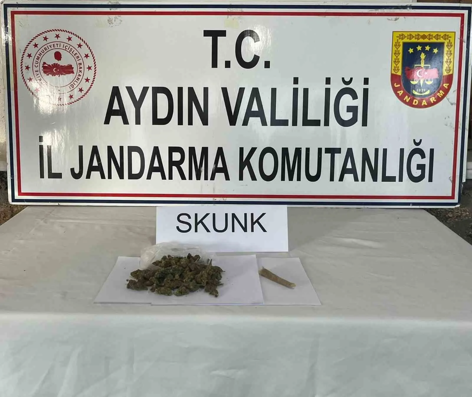 Aydın jandarmasından uyuşturucu operasyonu: 1 tutuklama