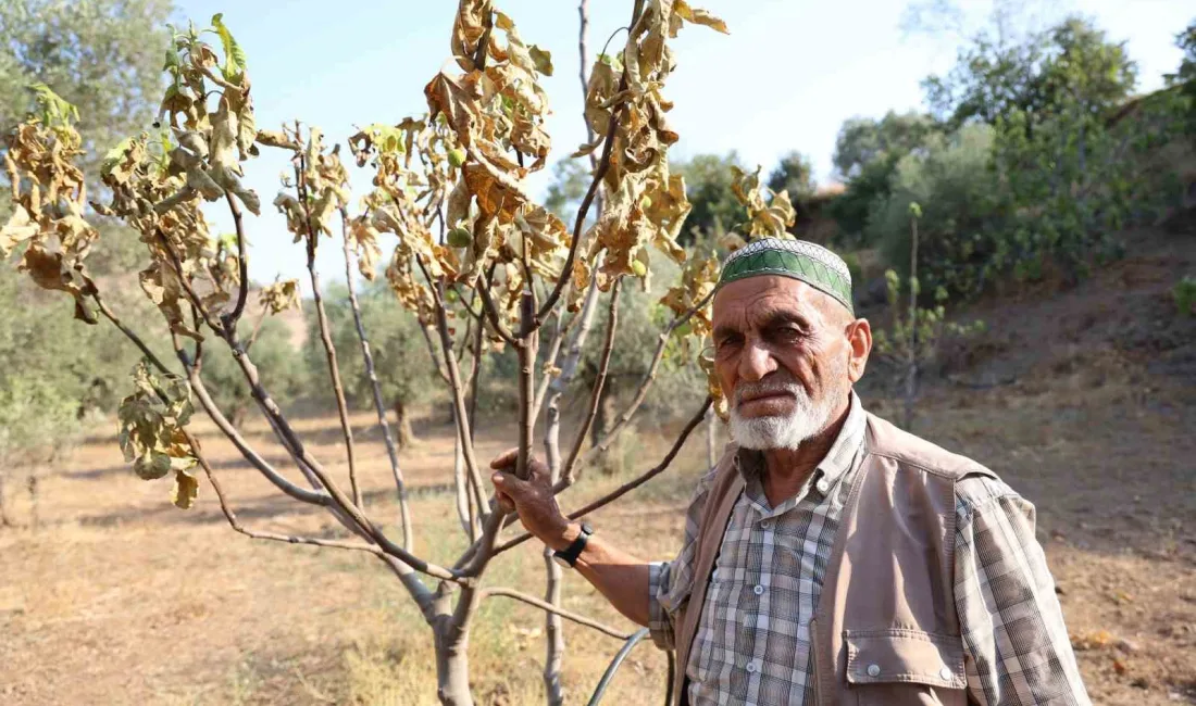 TÜRKİYE'NİN EN VERİMLİ TOPRAKLARINA