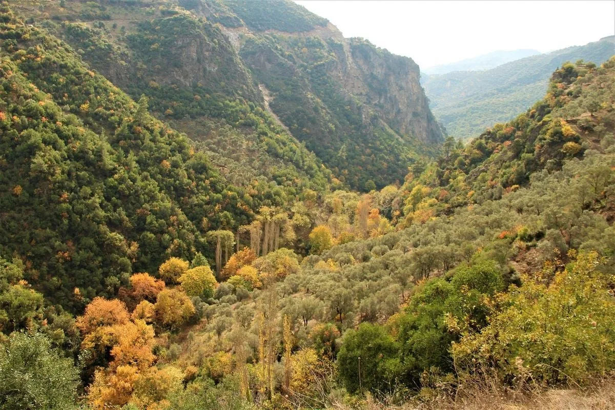 Aydın’ın doğa harikası Koçak Kanyonu, özgün klimasıyla ilgi odağı olmaya devam ediyor