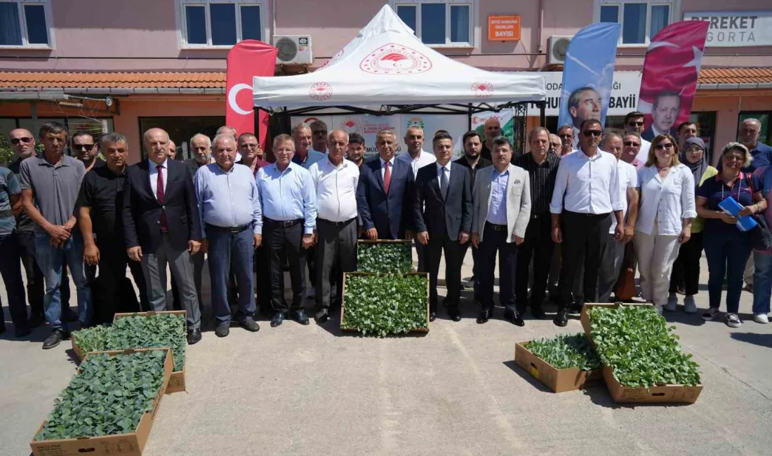 SAMSUN’DA ÇİFTÇİLERE YÜZDE 75